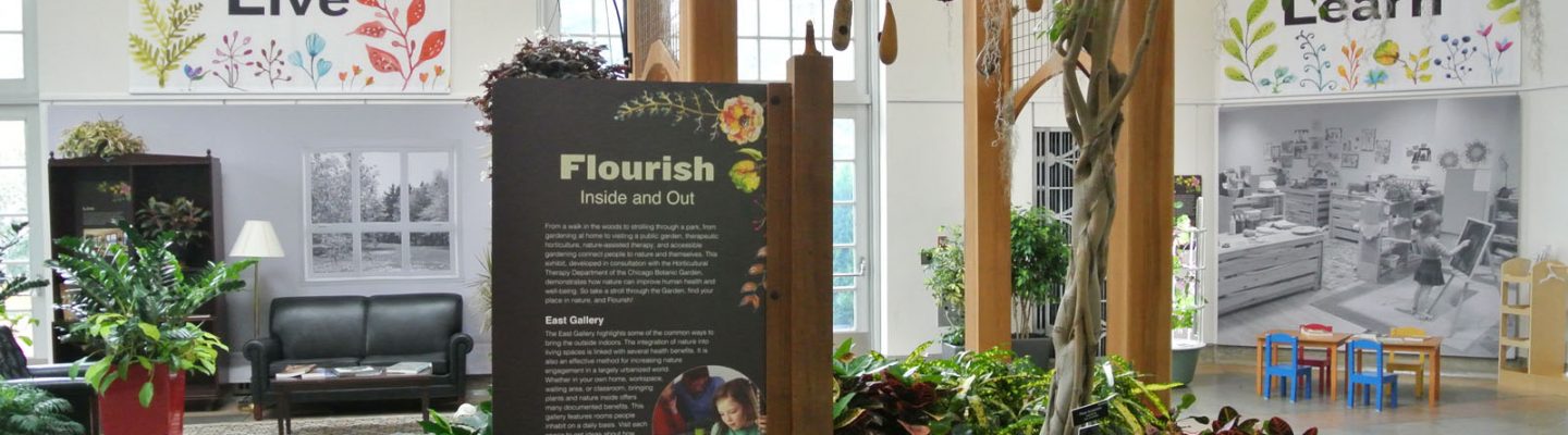 Flourish Inside and Out at the Untied States Botanic Garden