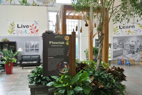 Flourish Inside and Out at the Untied States Botanic Garden